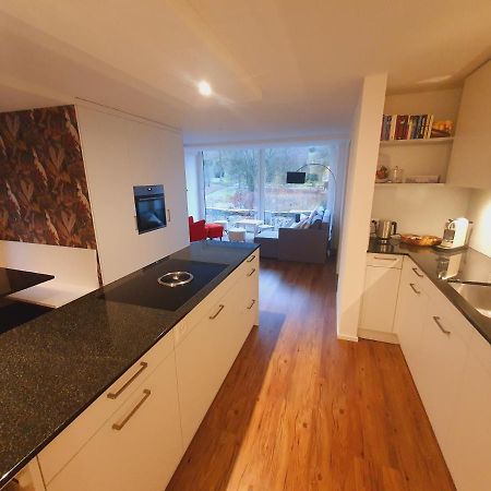 Neue Wohnung An Stadtrand Mit Parkplatz Ebikon エクステリア 写真