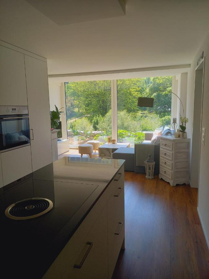 Neue Wohnung An Stadtrand Mit Parkplatz Ebikon エクステリア 写真