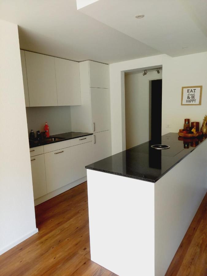 Neue Wohnung An Stadtrand Mit Parkplatz Ebikon エクステリア 写真